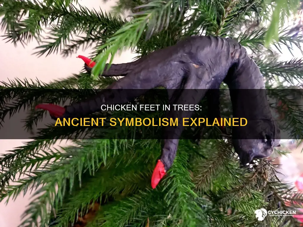 what do chicken feet in a tree stand for