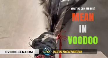 Unveiling the Mystical Significance of Chicken Feet in Voodoo Practices