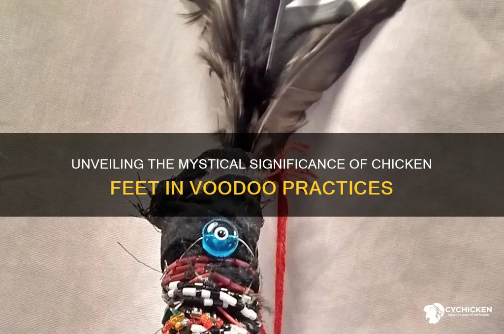 what do chicken feet mean in voodoo