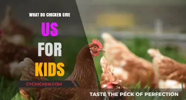 Clucking Benefits: What Chickens Provide for Curious Kids