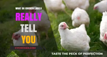 Decoding Chicken Labels: Understanding What You're Really Buying