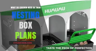 Creating the Perfect Nesting Box for Your Chickens