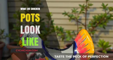 Exploring the Quirky World of Chicken Pot Designs