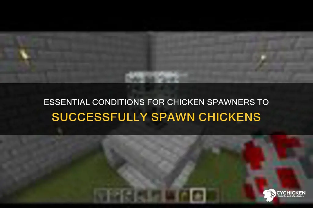 what do chicken spawners need to spawn