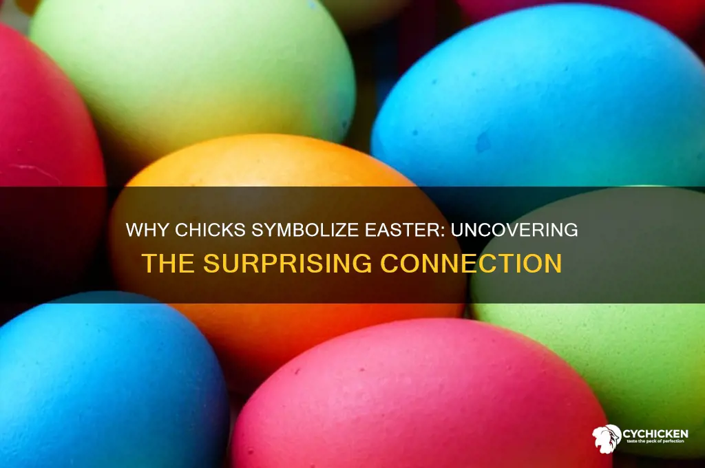 what do chicks have to do with easter