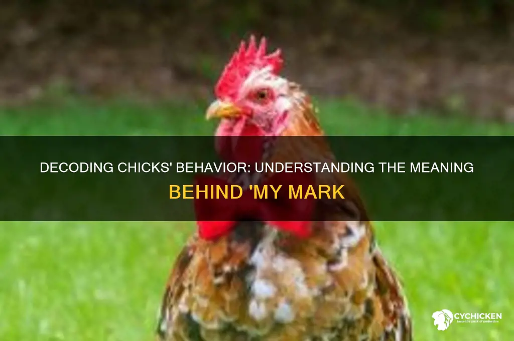 what do chicks mean by my mark