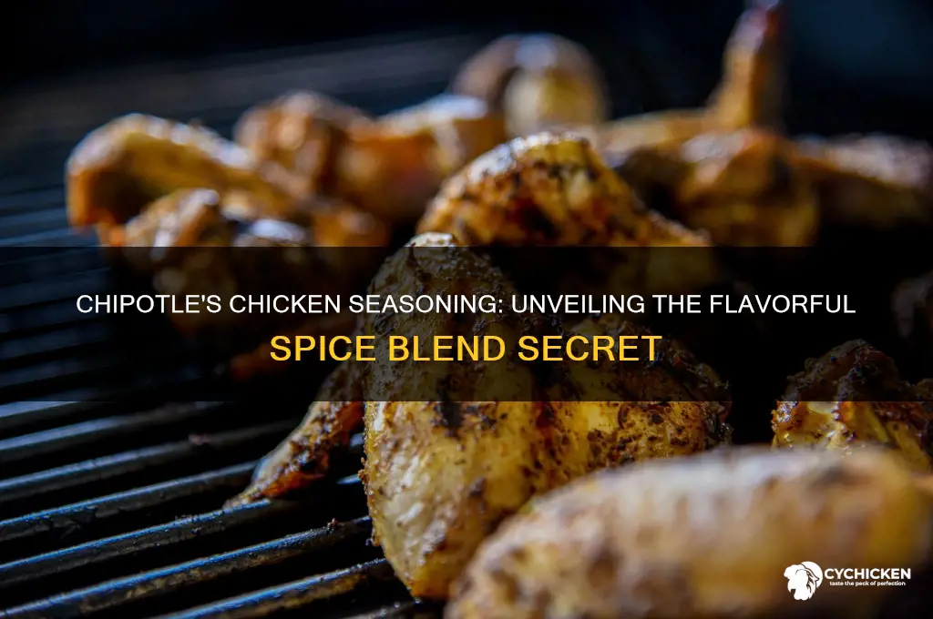 what do chipotle season their chicken with