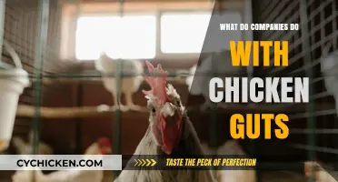 From Farm to Industry: Surprising Uses for Chicken By-Products