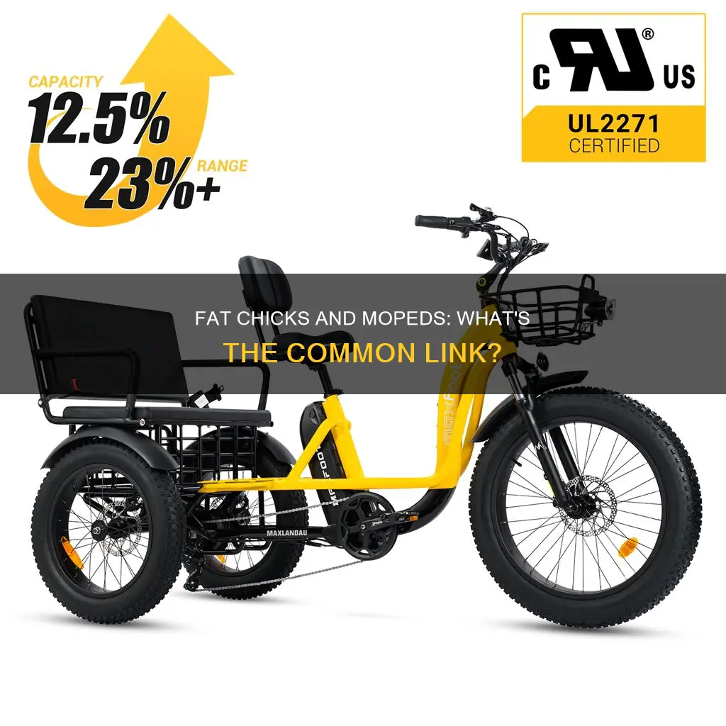 what do fat chicks and mopeds have in common
