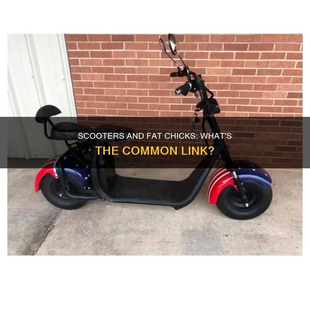 what do fat chicks and scooters have in common
