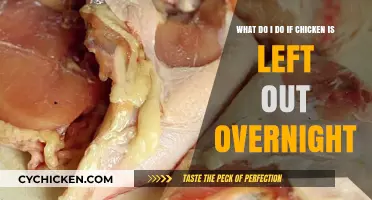 Left Out Chicken: What to Do?