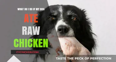 Raw Chicken Consumption: Keeping Your Dog Safe