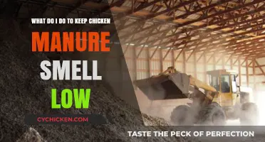 Keeping Chicken Manure Odor Under Control