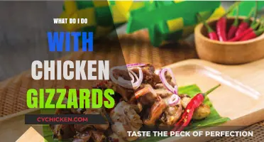Creative Ways to Cook and Enjoy Chicken Gizzards at Home