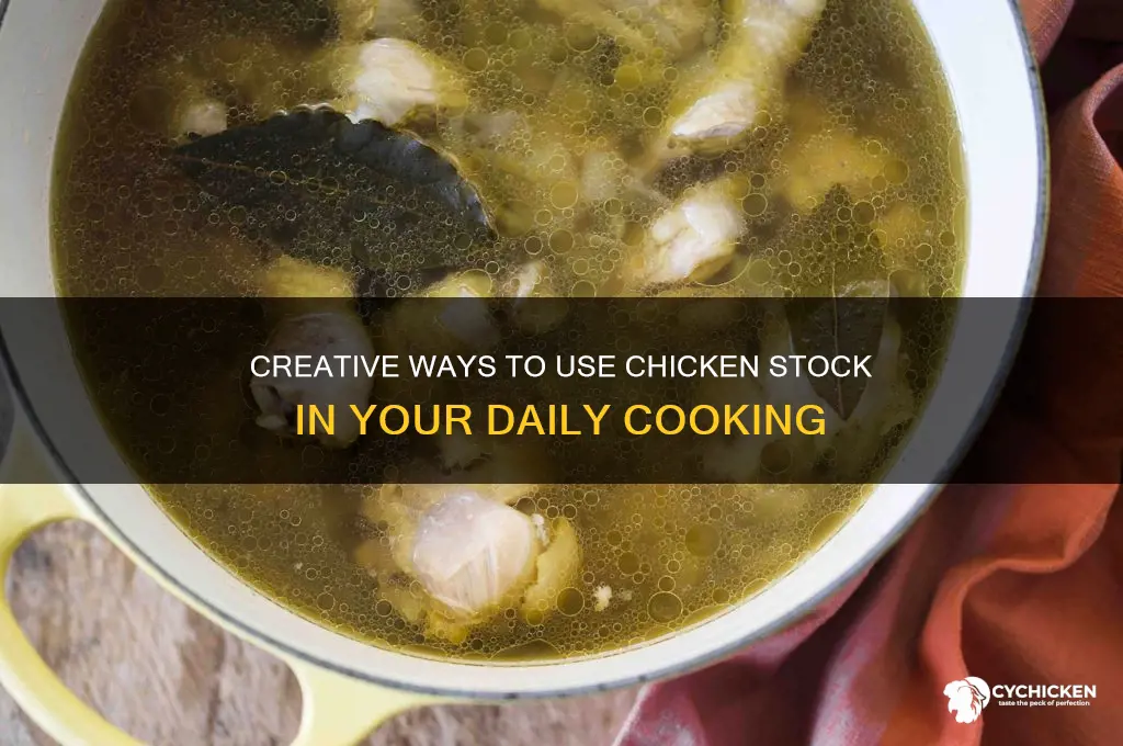 what do i do with chicken stock