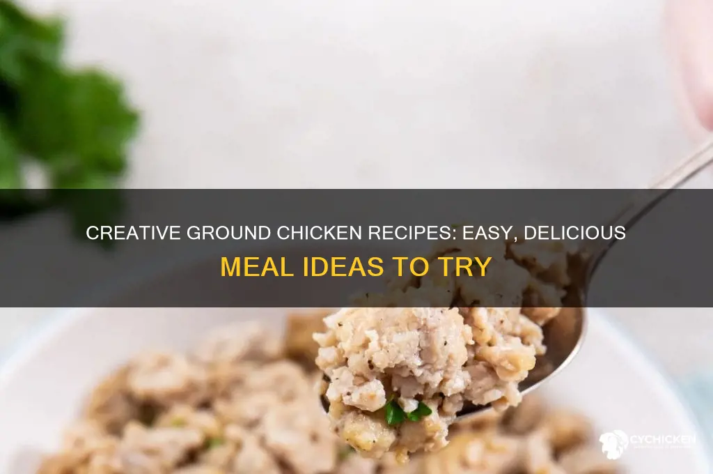 what do i do with ground chicken