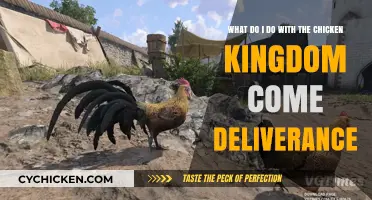Exploring Chicken Options in Kingdom Come: Deliverance