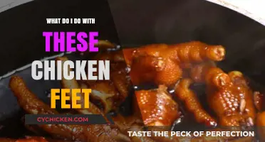 Creative Ways to Use Chicken Feet in Your Kitchen