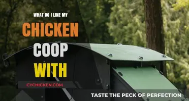 Eco-Friendly Options for Lining Your Chicken Coop: A Comprehensive Guide