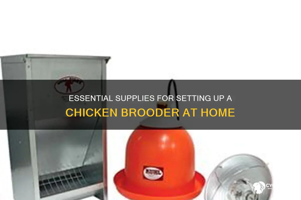 what do i need for a chicken brooder