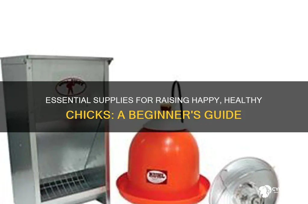 what do i need for my new chicks