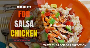 Salsa Chicken Essentials: Ingredients, Tips, and Easy Recipe Guide