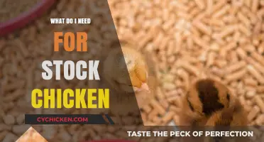 Essential Supplies for Raising Healthy, Happy Stock Chickens at Home