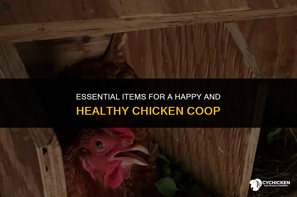 what do i need inside my chicken coop