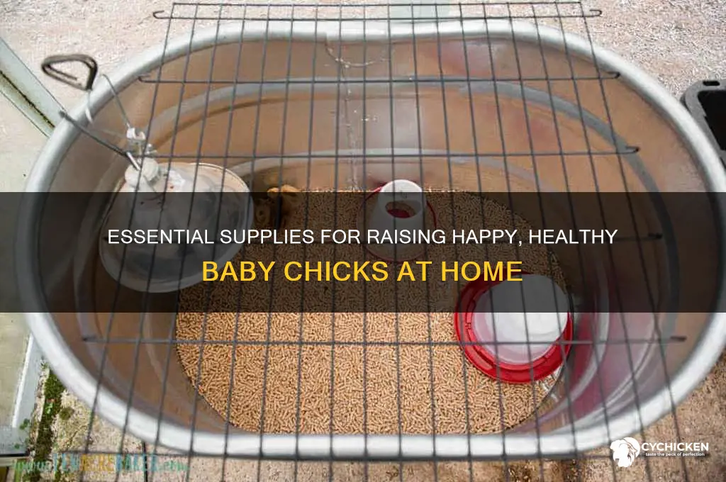 what do i need to buy for baby chicks