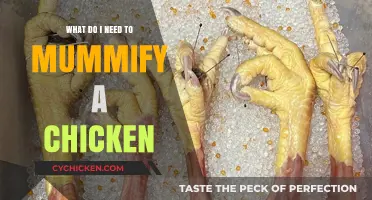 Mummifying a Chicken: Essential Supplies and Step-by-Step Guide