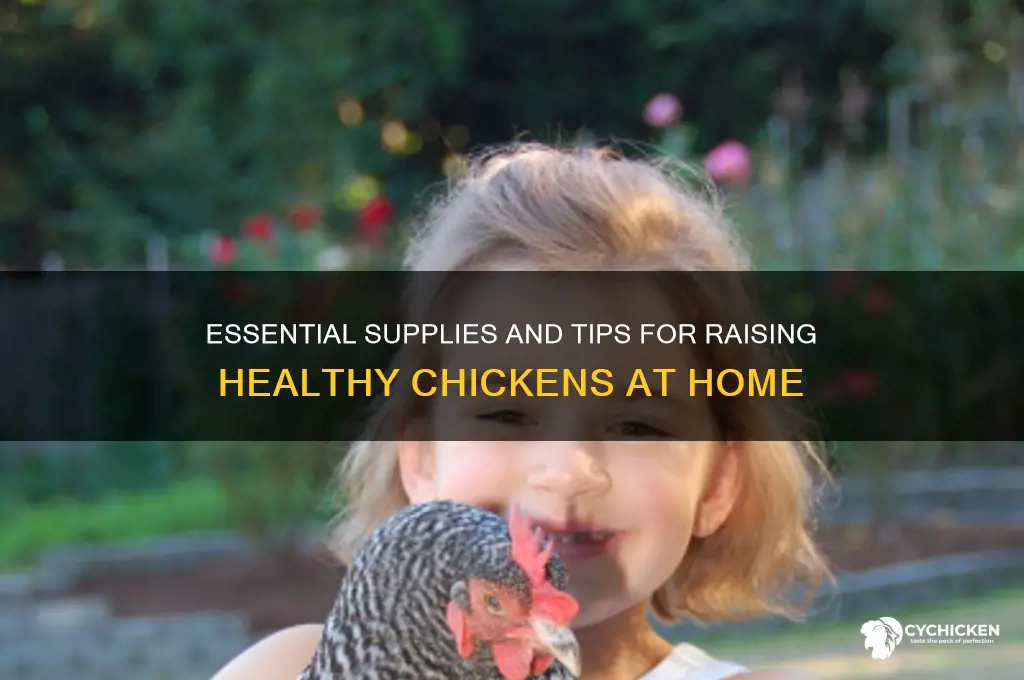 what do i need to raise a chicken