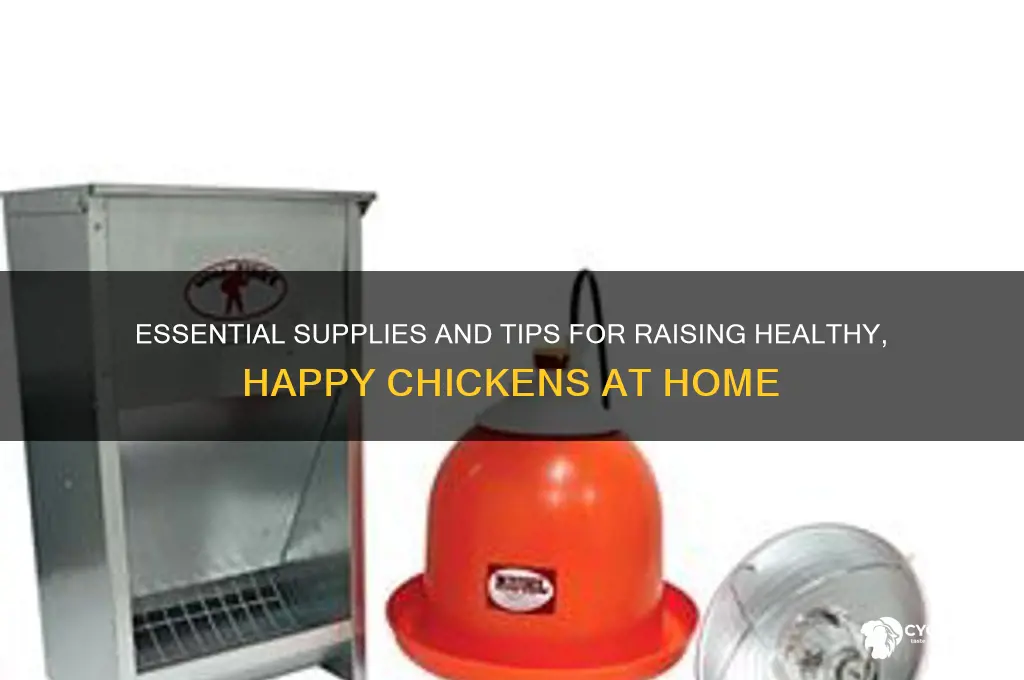 what do i need to raise chickens