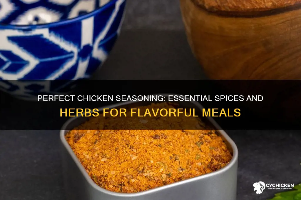 what do i need to season chicken with