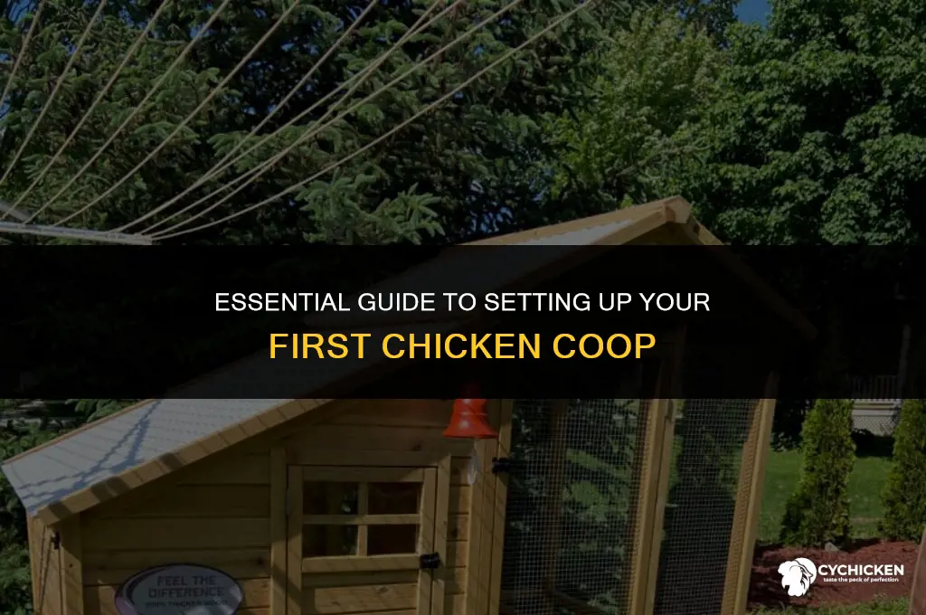 what do i need to set up a chicken coop