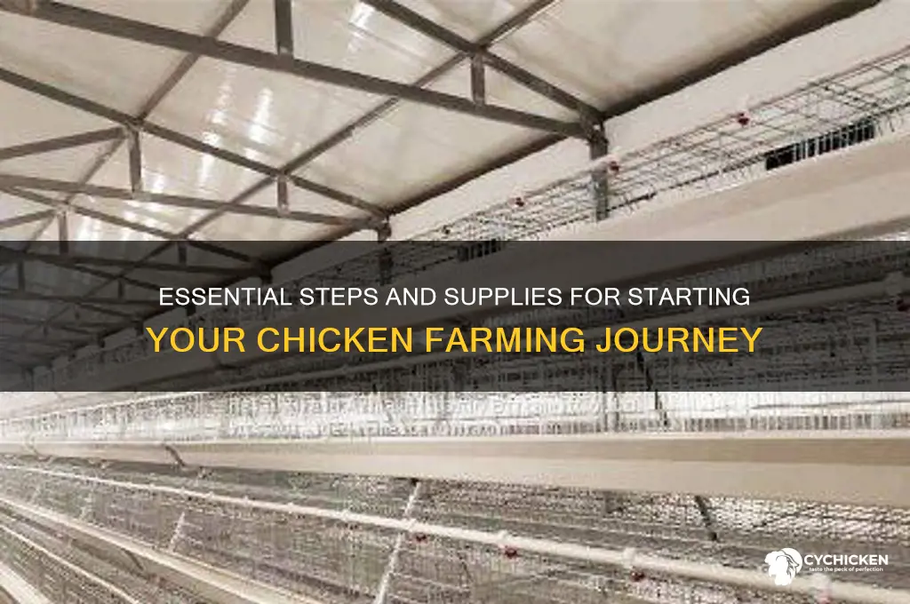 what do i need to start chicken farming