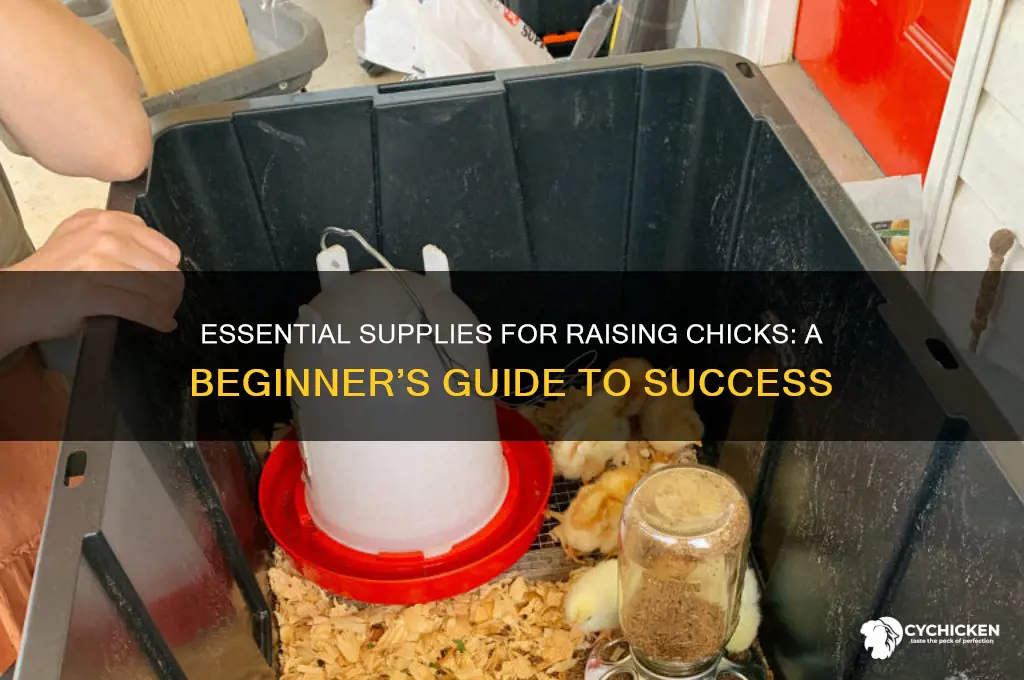 what do i need to start chicks