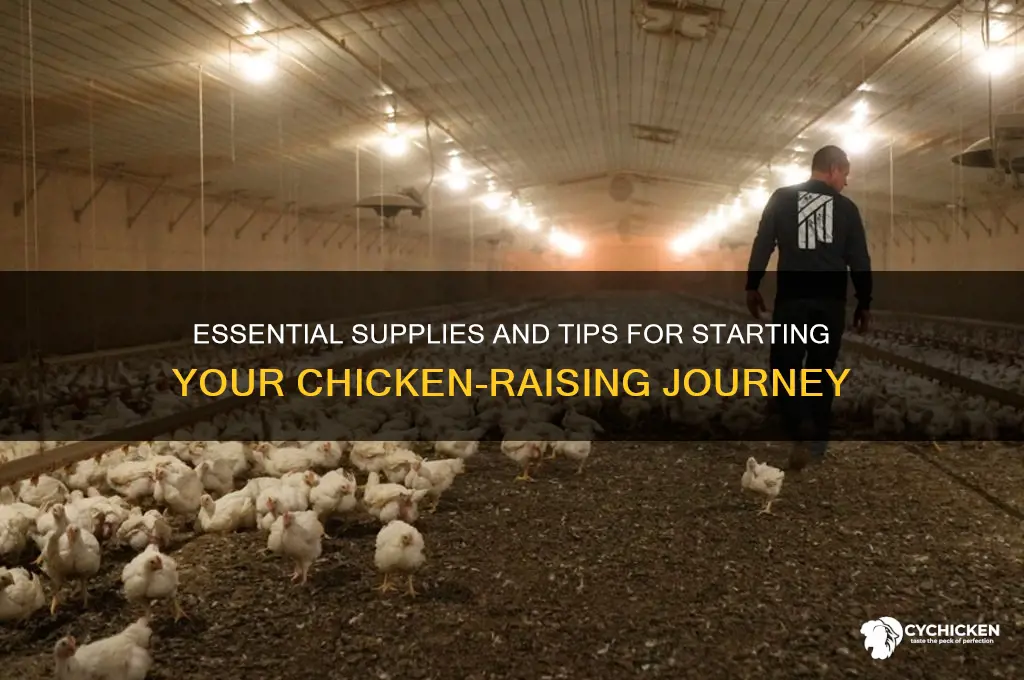 what do i need to start raising chickens