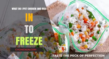 Best Containers for Freezing Chicken and Rice