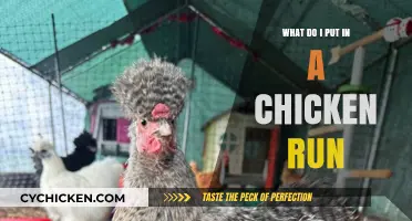 Essential Items to Include in Your Chicken Run Setup