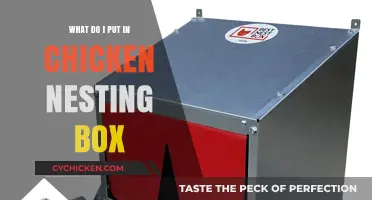 Essential Items for a Cozy Chicken Nesting Box Setup