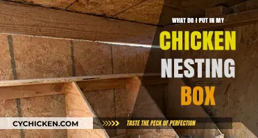 Chicken Nesting Box Essentials for Happy, Healthy Hens