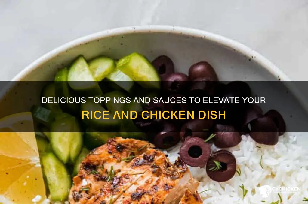 what do i put on rice and chicken