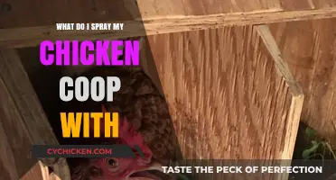 Natural Remedies: Safely Spraying Your Chicken Coop for Health and Hygiene