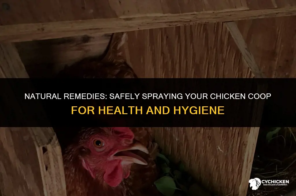 what do i spray my chicken coop with