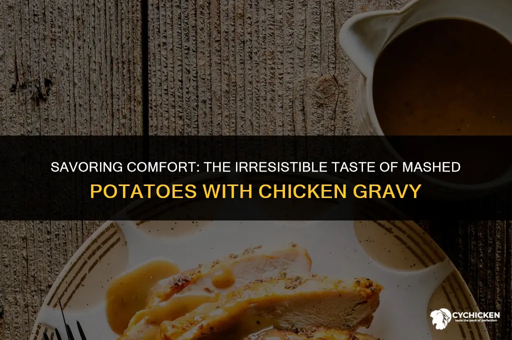what do mashed potatoes with chicken gravy taste like