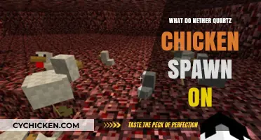 Nether Quartz Chicken Spawning: Surfaces and Blocks Explained