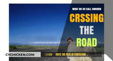 Why Did the Chicken Cross the Road? Unraveling the Classic Riddle