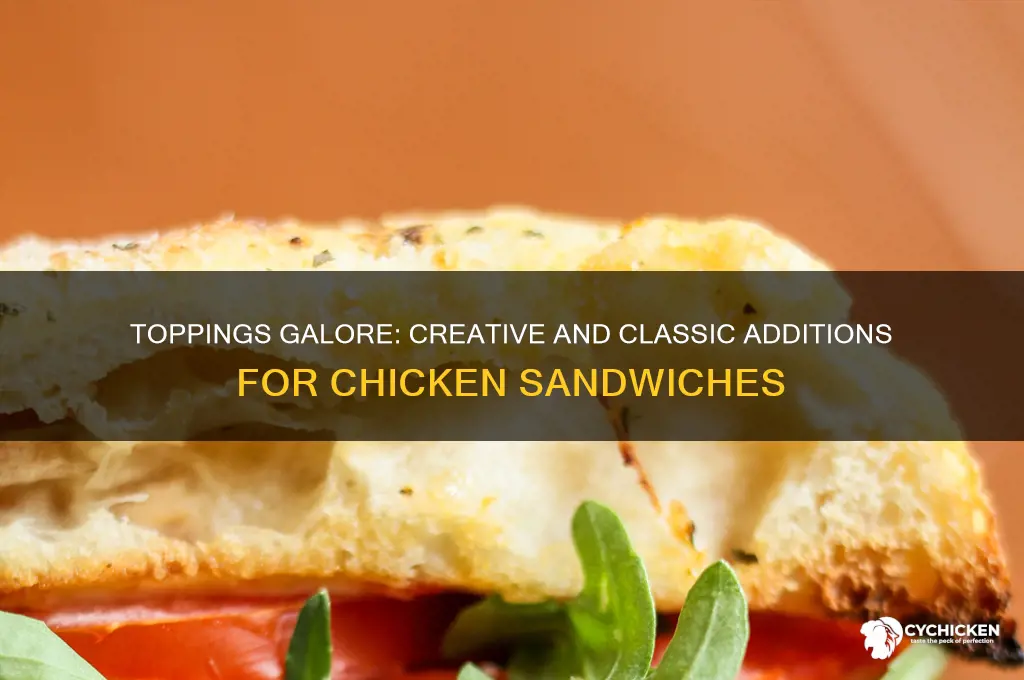 what do people put on chicken sandwiches