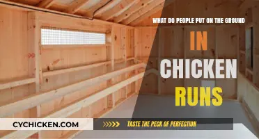 Chicken Runs: What to Put on the Ground?
