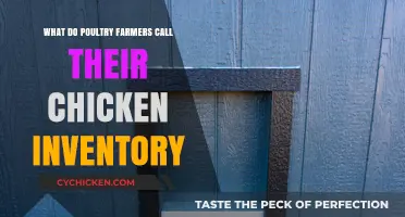 What Poultry Farmers Call Their Chicken Inventory: Key Terms Explained